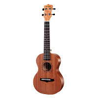 Укулеле Enya EUC-20