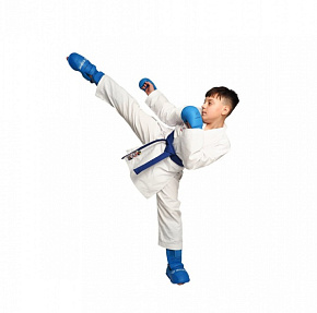 Каратэги NIWA 7oz WKF 2652 купить в Шахтах  от  руб - цены в интернет-магазине спортивных товаров "Медведь"