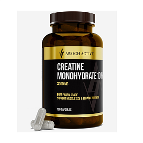 CREATINE MONOHYDRATE 100% 120 капсул ТЖК 870мг купить в Шахтах - цены в интернет-магазине спортивного питания "Медведь"